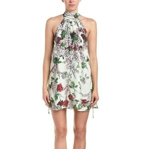 Haute Hippie Silk Morrison Floral Dress
